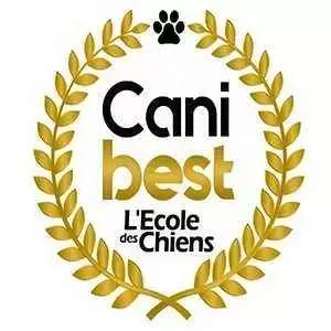 Toulouseweb - reeducation pour le chien à Toulouse - Canibest