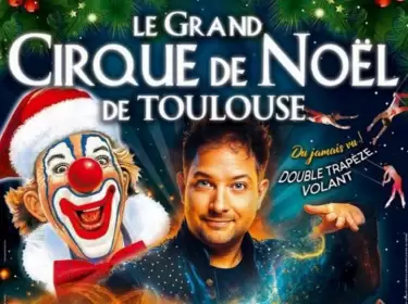 Grand Cirque de Noël de Toulouse: Chronique d’un succès annoncé …