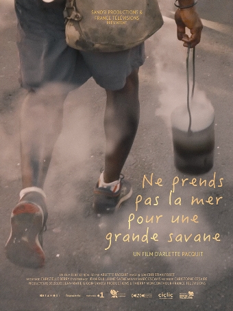 Ne prends pas la mer pour une grande savane