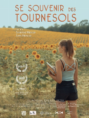 Se souvenir des tournesols